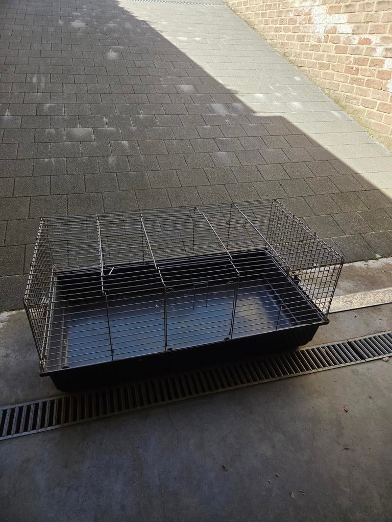 Hok voor konijn/cavia, Enlèvement, Niche, Cobaye