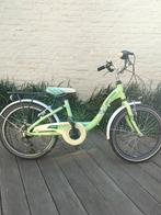 Kinderfiets 20 inch, Fietsen en Brommers, Ophalen, 20 inch