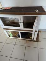 Konijn +hok, Ophalen, 60 tot 90 cm, Konijn, Hok