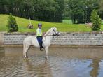 Bomproof bixie/sport en kinder B-pony, Dieren en Toebehoren, Ruin, Springpony, L, B pony (1.17m tot 1.27m)