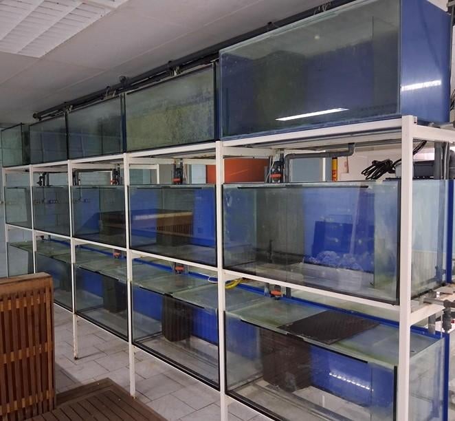 Dubbele aquariumstelling!!! met meer dan 7000 liter!!!, Ophalen, Gebruikt, Overige typen, Overige merken