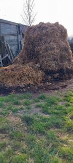 Mest  koeien  mest, Tuin en Terras, Ophalen, Mest