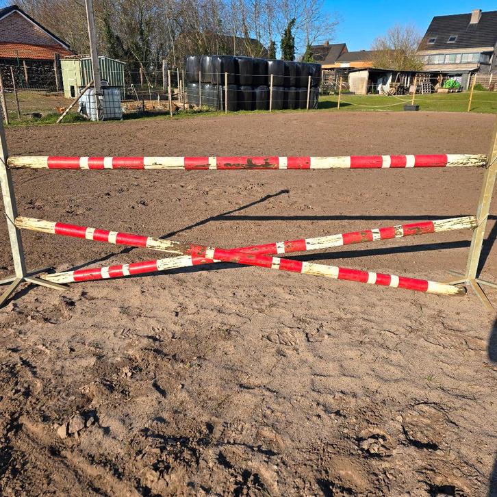 Springbalken, Animaux & Accessoires, Chevaux