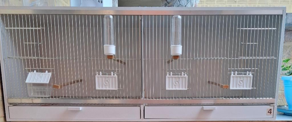 Kweekkooi in kunststof GEZOCHT, Dieren en Toebehoren, Ophalen of Verzenden, Kunststof