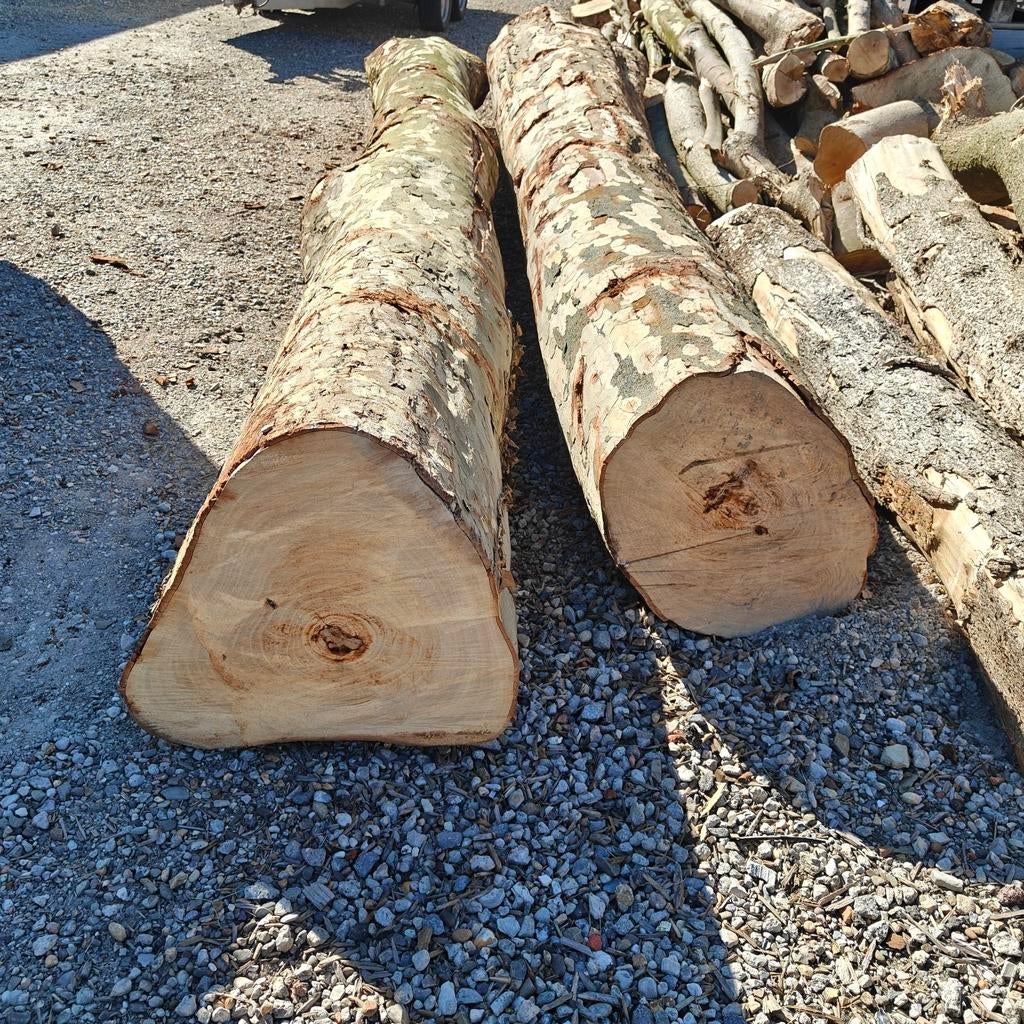 2  stammen te koop, Enlèvement, Troncs d'arbres