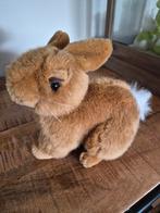 Peluche lapin, Enlèvement ou Envoi, Lapin