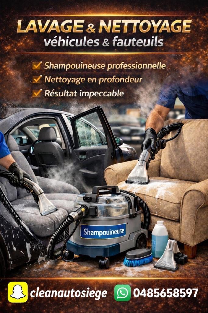Lavage, siège, voiture et fauteuil