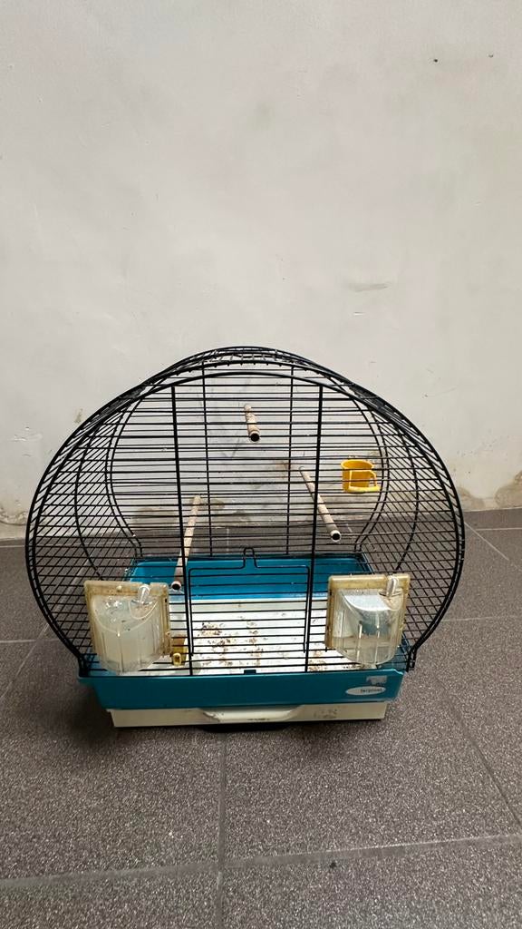 Kooi, Dieren en Toebehoren, Ophalen, Zo goed als nieuw