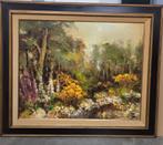 Lea VANDERSTRAETEN, bloemen in het bos, Ophalen