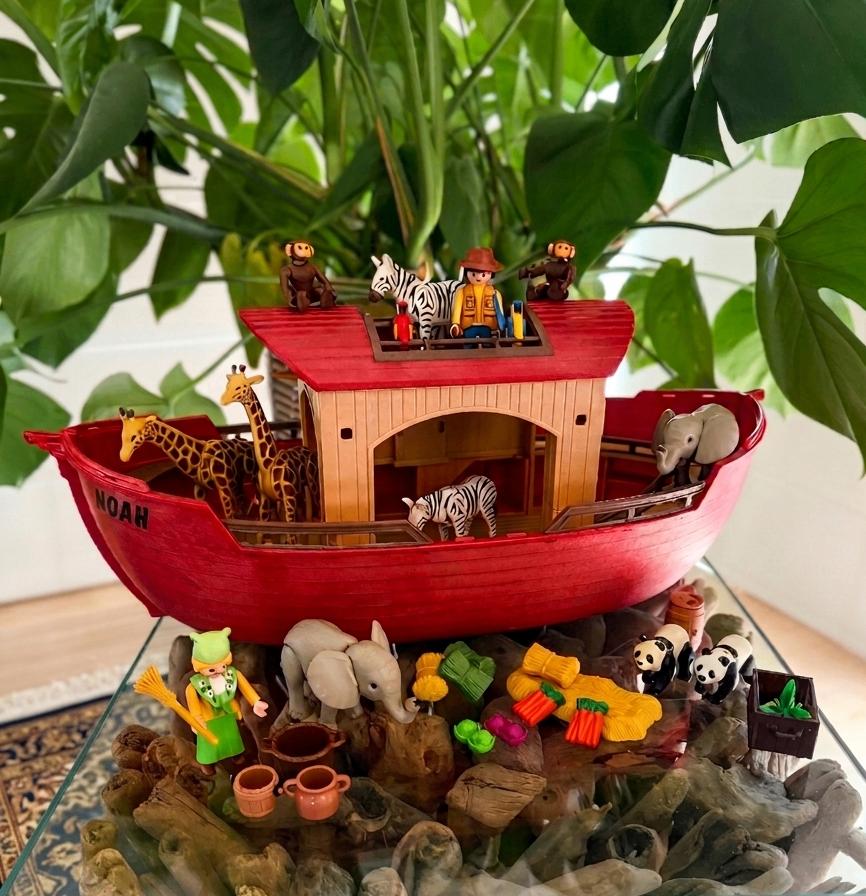 Playmobil - Ark van Noah, Ophalen of Verzenden, Gebruikt