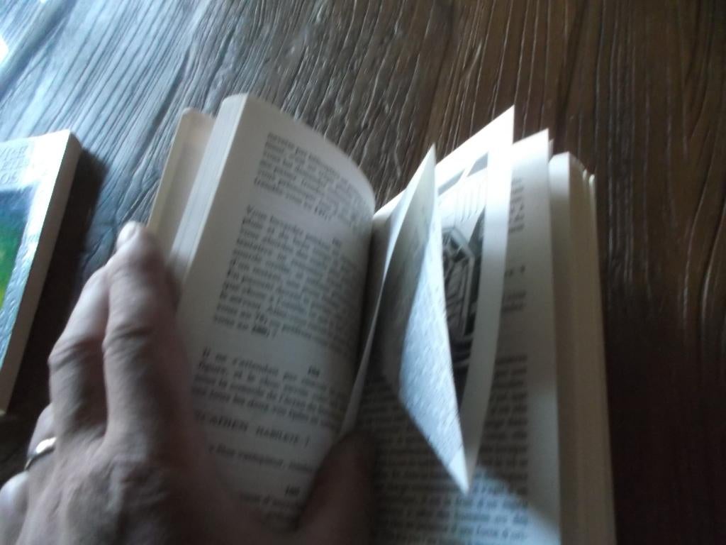 CURIOSITE livre dont vous êtes le héros LDVELH, Livres, Enlèvement ou Envoi, Utilisé