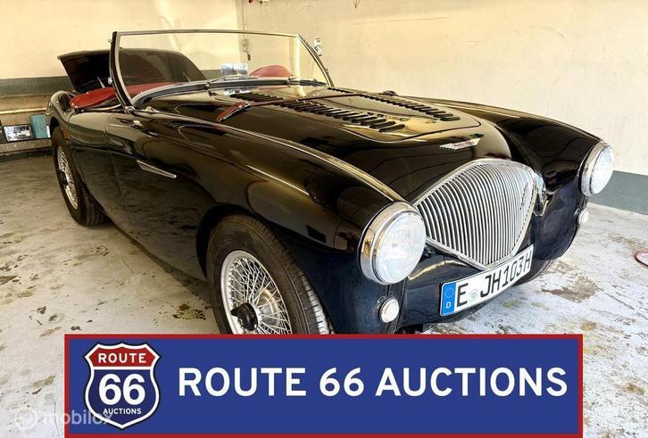 Austin-Healey 100/4 BN1 | 1954 | Route 66 Auctions, Auto's, Oldtimers, Bedrijf, Te koop, Austin, Benzine, Overige carrosserie