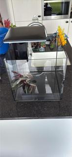 Aquarium met filter/ verwarming cube superfish, Ophalen, Zo goed als nieuw