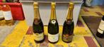 3 flessen champagne eerst goed lezen aub, Ophalen, Champagne