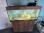 Juwel aquarium 240L, Dieren en Toebehoren, Ophalen, Zo goed als nieuw
