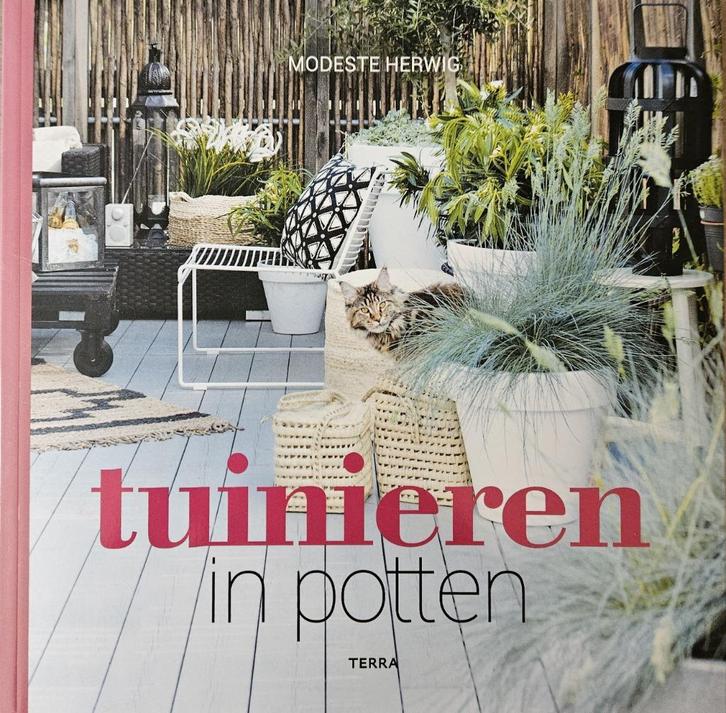 Tuinieren in potten - Modeste Herwig - 2018, Livres, Maison & Jardinage, Neuf, Jardinage et Plantes de jardin, Enlèvement ou Envoi