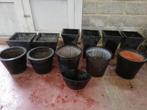 pots de plantes, 25 à 40 cm, Jardin, Enlèvement, Utilisé