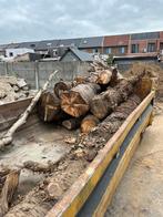 Te koop brandhout, Tuin en Terras, Ophalen