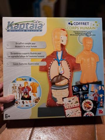 Set voor het menselijk lichaam - Kaptaia beschikbaar voor biedingen