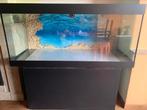 Aquarium, Animaux & Accessoires, Poissons | Aquariums & Accessoires, Enlèvement, Comme neuf