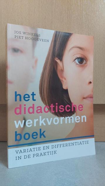 Piet Hoogeveen - Le cahier didactique, Livres, Enlèvement, Comme neuf, Piet Hoogeveen; Jos Winkels