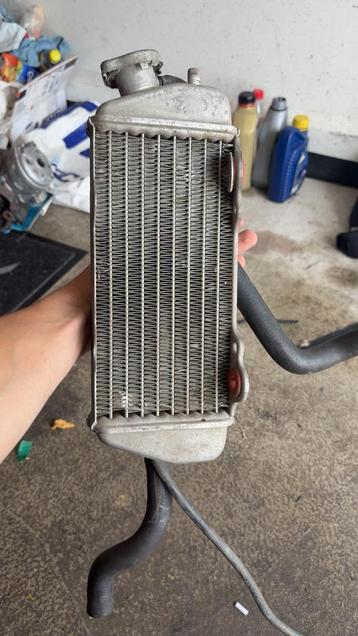radiateur beta rr 50 beschikbaar voor biedingen