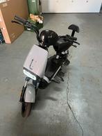 Vélo électrique 2 place 25km/h, Vélos & Vélomoteurs, Vélomoteurs & Scooters bridés, Neuf, Autres marques, Enlèvement, Électrique