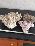 Koraal,zeepokken en woestijnroos, Verzamelen, Mineralen en Fossielen, Ophalen of Verzenden