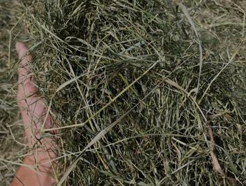 Hooi balen beschikbaar voor biedingen