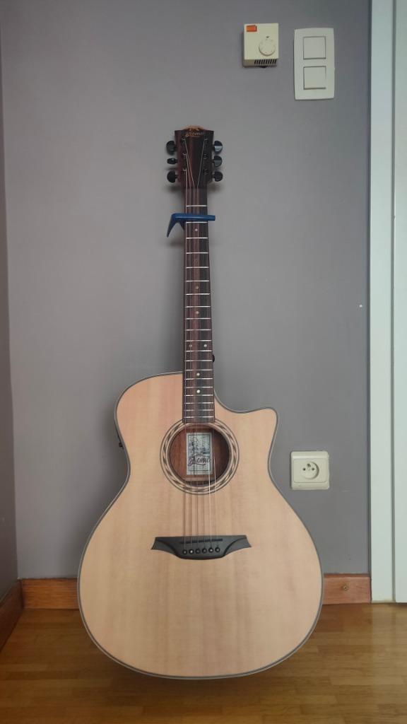 Akoustische gitaar + Capo + Gitaartas, Muziek en Instrumenten, Snaarinstrumenten | Gitaren | Akoestisch, Zo goed als nieuw, Met koffer