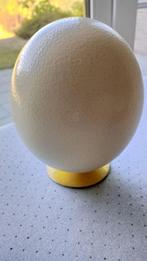 Struisvogelei 16cm, Ophalen, Nieuw