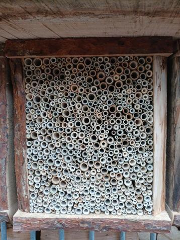 Bamboe voor bijenhotel/ insectenhotel beschikbaar voor biedingen