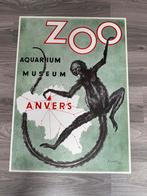 Originele Poster ZOO Antwerpen aapje uit 1954, Ophalen of Verzenden, Zo goed als nieuw