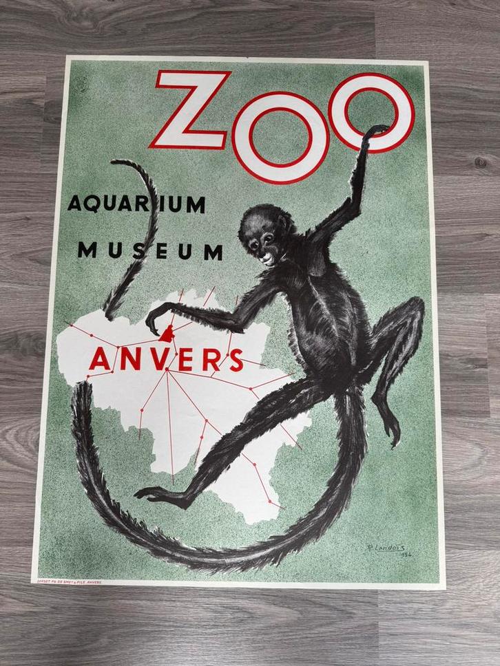 Originele Poster ZOO Antwerpen aapje uit 1954, Verzamelen, Posters, Zo goed als nieuw, Ophalen of Verzenden