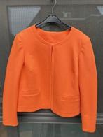 Bolero oranje - Mt 46, Neuf, Taille 46/48 (XL) ou plus grande, Enlèvement ou Envoi, Damart