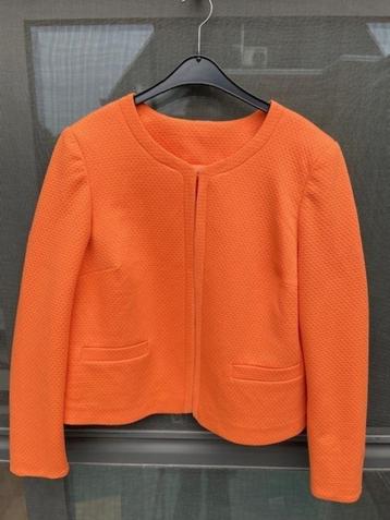 Bolero oranje - Mt 46 beschikbaar voor biedingen