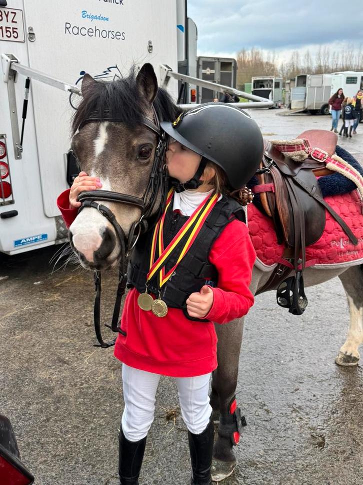 Lieve welsh b-pony te koop, Dieren en Toebehoren, Pony's, Ruin, B, B pony (1.17m tot 1.27m), Recreatiepony, 11 jaar of ouder, Met stamboom