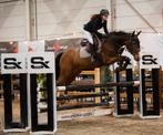 13 jarige brave ruin, Dieren en Toebehoren, Paarden, Springpaard, Gechipt, Ruin, L