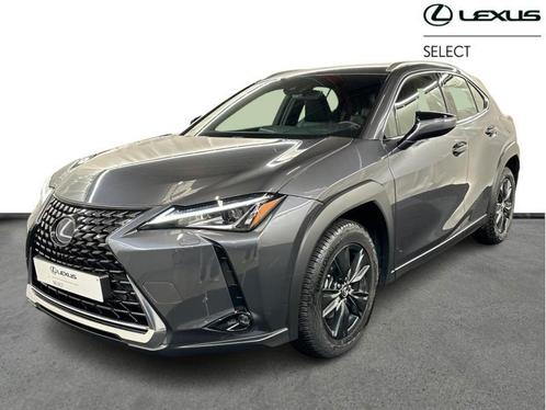 Lexus UX 250h Business Line+LEATHER, Auto's, Lexus, Bedrijf, UX, Adaptive Cruise Control, Airbags, Airconditioning, Bluetooth