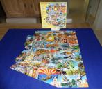 Sunsout Puzzel "Arizona" 1000 stukjes, Ophalen of Verzenden, 500 t/m 1500 stukjes, Zo goed als nieuw, Legpuzzel