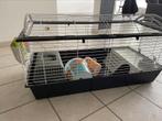 Cage pour lapin, Animaux & Accessoires, Comme neuf, Cage
