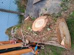 Stam eikenhout, Tuin en Terras, Brandhout, Ophalen, Eikenhout, Stammen