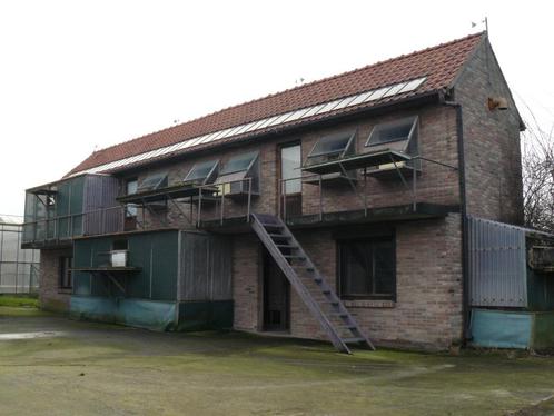Te huur: zeer groot bakstenen duivenhok/duivenpension, Dieren en Toebehoren, Vogels | Hokken en Kooien, Ophalen of Verzenden