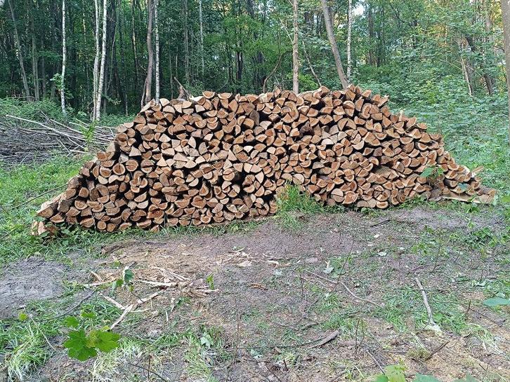 Bois de chauffage, Tuin en Terras, Brandhout, Blokken, Eikenhout, 6 m³ of meer, Ophalen of Verzenden