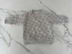 Trui maat 56, Ophalen, Zeeman, Zo goed als nieuw, Truitje of Vestje