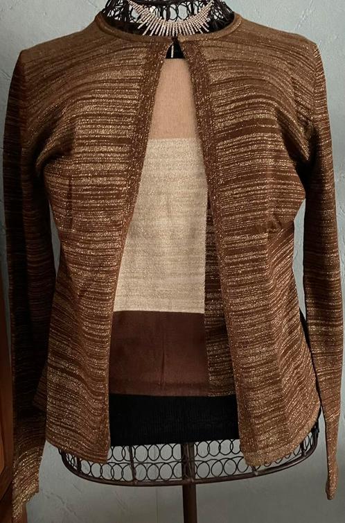 Caroline Biss 38 Galant setje truitje/vestje NIEUWSTAAT, Kleding | Dames, Truien en Vesten, Zo goed als nieuw, Maat 38/40 (M)