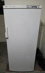 congélateur armoire BOSCH 262 L en bon état, Electroménager, Congélateurs, Moins de 60 cm, Congélateur, 160 cm ou plus, Enlèvement