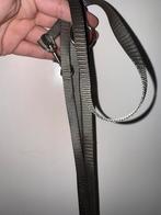 Hunter riem voor katten of kleine honden, Dieren en Toebehoren, Ophalen, Nieuw, Hondenriem