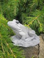 kikker , tuinbeeld, Ophalen of Verzenden, Nieuw, Beton, Dierenbeeld