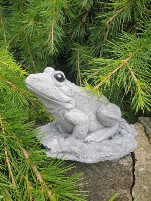 kikker , tuinbeeld, Tuin en Terras, Tuinbeelden, Nieuw, Dierenbeeld, Beton, Ophalen of Verzenden